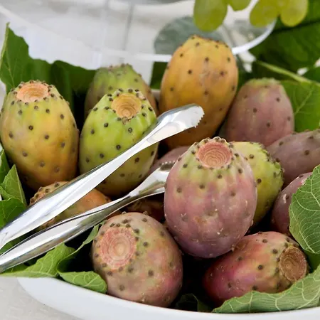 Palazzo Papaleo Otel 5*